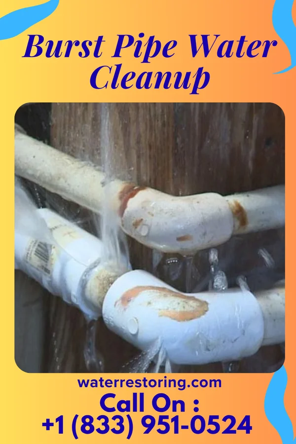 Burst Pipe Water Cleanup in Frederick, MD