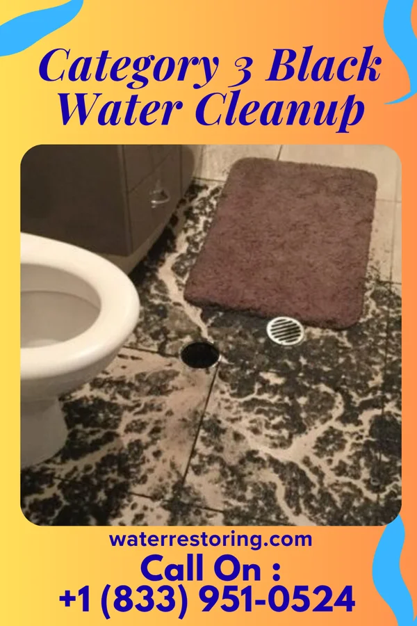 Category 3 Black Water Cleanup in Frederick, MD