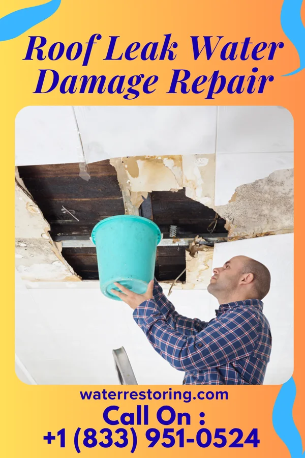Roof Leak Water Damage Repair in Frederick, MD