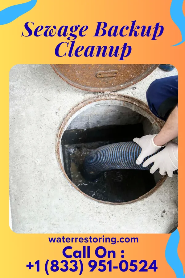 Sewage Backup Cleanup in Frederick, MD