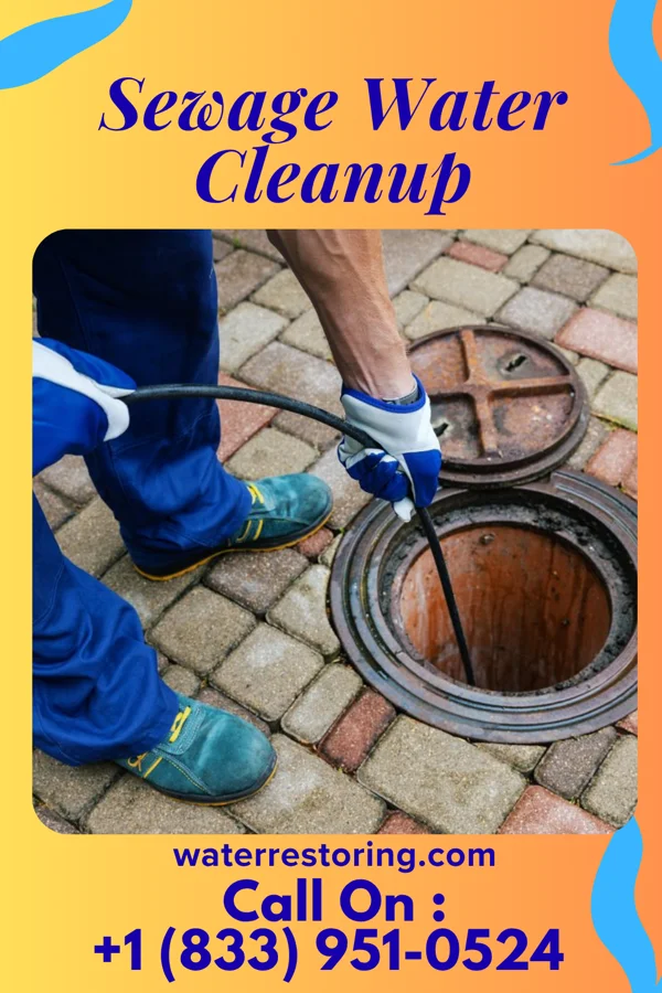 Sewage Water Cleanup in Frederick, MD