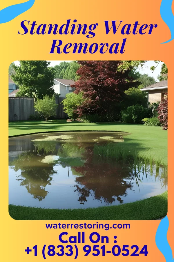 Standing Water Removal in Frederick, MD